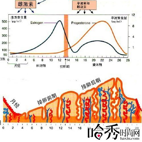 美容护肤小窍门之月经篇 护肤减肥保养大攻略