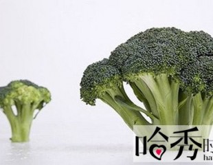 推荐5种美容护肤食物 最简单最健康的护肤新体验