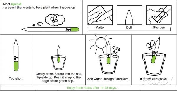 秘密花园掀起铅笔风 可埋进土里的铅笔