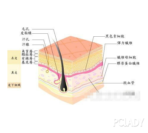 告诉我为什么祛斑这么难