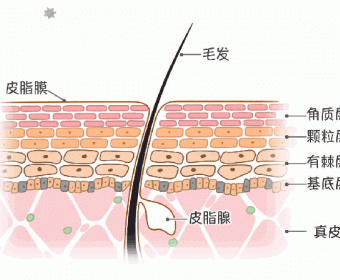 为什么长期护肤没效果？这个护肤小秘密你还不知道！