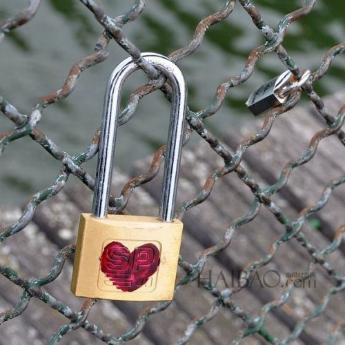 挂满爱情锁的巴黎艺术桥 (Pont des Arts Bridge)