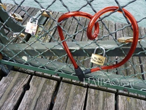 挂满爱情锁的巴黎艺术桥 (Pont des Arts Bridge)